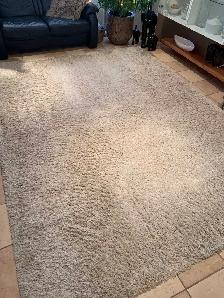 Beautiful Carpet like NEW