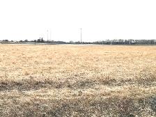 ALFALFA/HAY CROP LAND FOR RENT