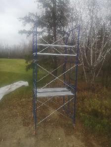 Scaffolds