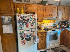 Kitchen Cabinets For FREE