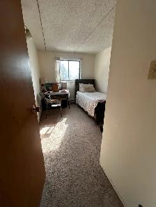 Room for Rent – Female Only | Chancellor Drive