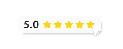 Need Google Reviews  Posted on Multiple Businesses