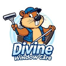 Cleaner/Driver