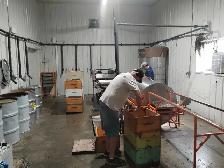 Farm hand/apiary technician/ bee farm labour