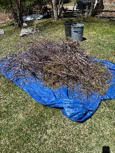 Landscape Labourer Wanted