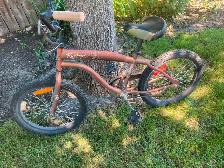 CRUISER BIKE 20