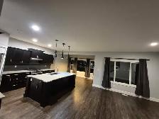 Cleaning Services