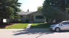 Entire Basement Spacious Bedroom and Bathroom Brentwood U of C