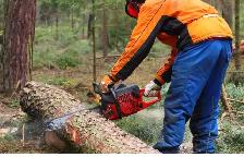Chainsaw operator