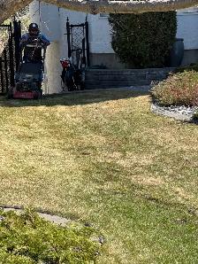 spring cleanup labourer needed now