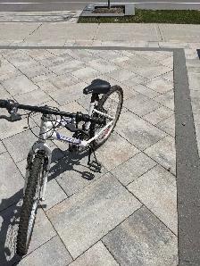 Supercycle Mountain Bike