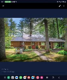 Handyman & Maintenance Person Need