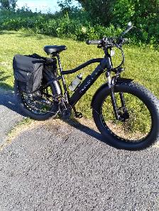 Teslica Electric  Bike