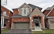 2 bedroom   den basement apartment   2 parking spots
