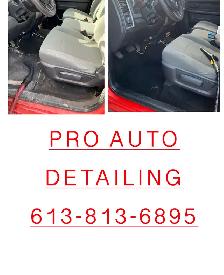 pro auto detaling
