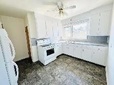 Bright and Spacious 1 Bedroom/1 Bath for RENT in Rossmere B