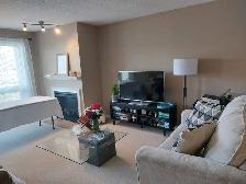 1 Bedroom Apartment in NW Calgary (Varsity)