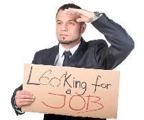 looking for any kind of part time job