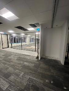 Renovation helper needed