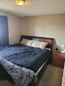 Room for Rent $800,Warm,Private, Pets Possible,BusShops Close