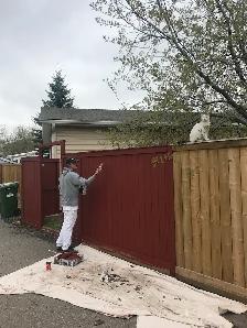 Entry Level Painter - Full Time