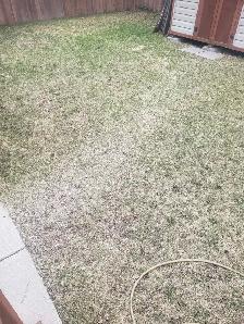 Yard work 30.00 2 hrs