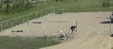 6-ft Chain Link Fence, 520-ft long
