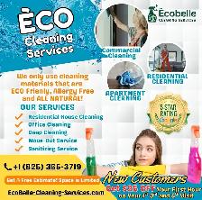 Eco-Friendly Home and Office Cleaning That Shines