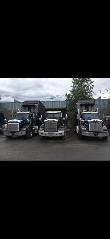Chauffeur cl3 12 roués dompteur