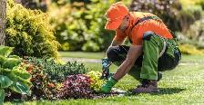 Hiring Landscapers get PAID DAILY