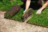 Landscaping experience with truck $27/hr start