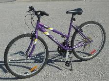 FEMALE'S MID SIZE 24' NEXT CHALLENGER 18 SPD MOUNTAIN BIKE!
