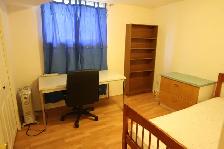 Bright and Quiet Basement Room for Rent