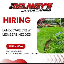 DELANEY'S LANDSCAPING HIRING