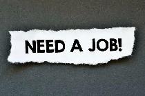 Need a Job