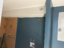 Painter/ Paint job
