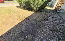 looking for Spring front long clean up