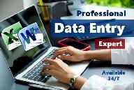 Data Entry Specialist