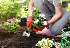 Garden Labour Needed Sat May 3 - Cash - Nobleton Female Prefered