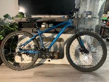 Diamondback Ridgeback HardTail Mountain Bike