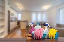 Experienced housekeeper/cleaner available  - Toronto Area