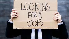 looking for job