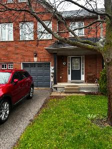 Stunning & Renovated 3-Bedroom Townhouse for Rent in Milton