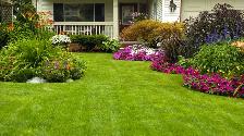 Landscape Team Member