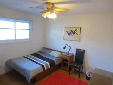 Very Nice Clean Room For Rent Near Algonquin College !