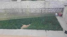 seeking outdoor cleaner