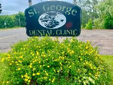 Clinical assistant