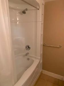 1 bedroom basement suite for rent