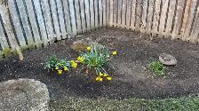 Serious Landscaping Worker Wanted