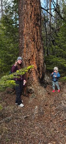 Looking for experienced Nanny for my child willing to relocate